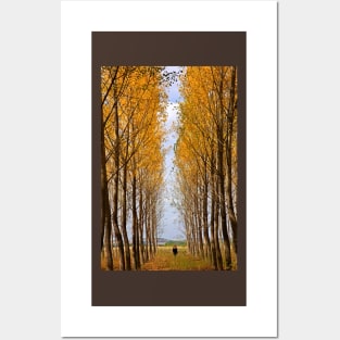 First autumnal colors Posters and Art